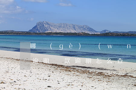 哪個(gè)網(wǎng)站可以查貸款逾期(貸款逾期怎么查詢)
