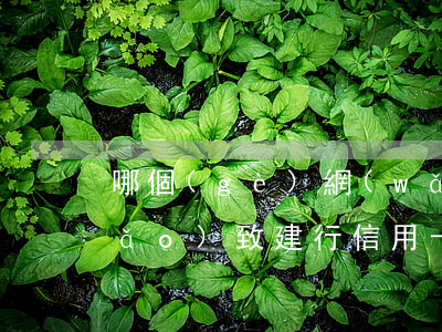 哪個(gè)網(wǎng)貸逾期導(dǎo)致建行信用卡凍結(jié)-哪個(gè)網(wǎng)貸逾期導(dǎo)致建行信用卡凍結(jié)了