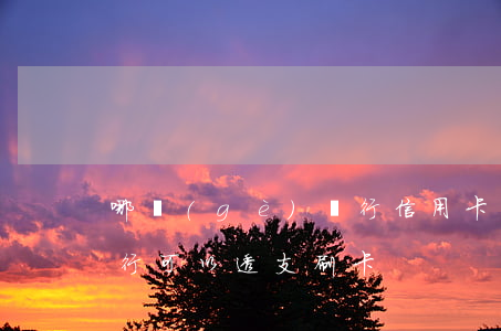 哪個(gè)銀行信用卡可以透支刷(哪家銀行可以透支刷卡)