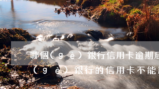 哪個(gè)銀行信用卡逾期后打折-哪個(gè)銀行的信用卡不能逾期一天
