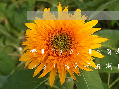 哪個(gè)銀行有逾期還可以申請(qǐng)信用卡（逾期還能下信用卡的銀行）