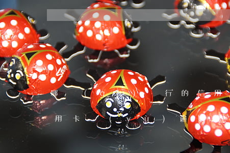 哪個(gè)銀行的信用卡不能逾期一天（信用卡預(yù)逾期一天）