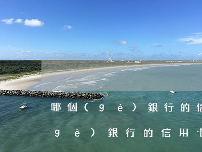 哪個(gè)銀行的信用卡透支最高(哪個(gè)銀行的信用卡下卡率高)
