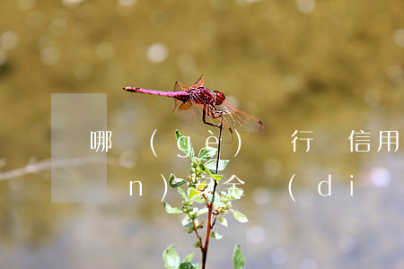 哪個(gè)銀行辦信用卡利息低點(diǎn)安全點(diǎn)-哪個(gè)銀行的信用卡利息比較高