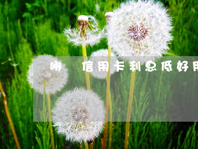 哪個信用卡利息低好用(哪個行信用卡利息低)