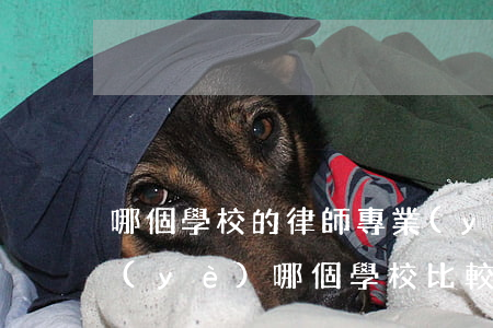 哪個學校的律師專業(yè)最好(律師專業(yè)哪個學校比較好)