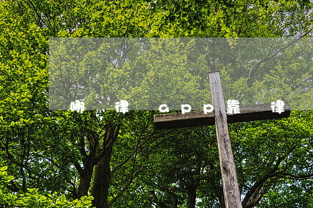 哪個律師app靠譜(律師平臺哪個靠譜)