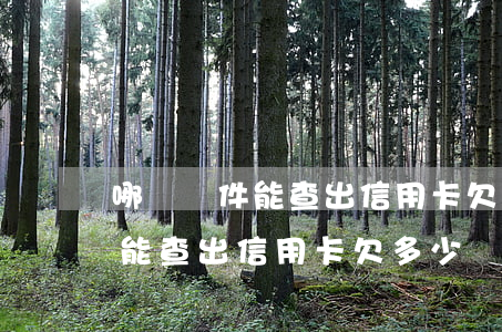哪個軟件能查出信用卡欠多少錢-哪個軟件能查出信用卡欠多少錢了