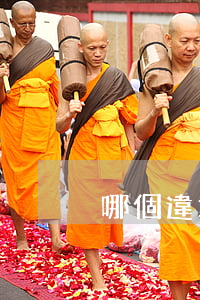 哪個違章不扣錢(違章扣錢嗎)