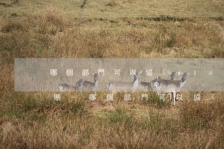 哪個部門可以協(xié)助信用卡停息掛賬-哪個部門可以協(xié)助信用卡停息掛賬呢