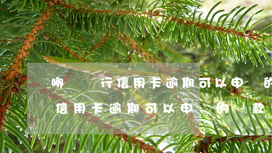 哪個銀行信用卡逾期可以申請的-哪個銀行信用卡逾期可以申請的貸款