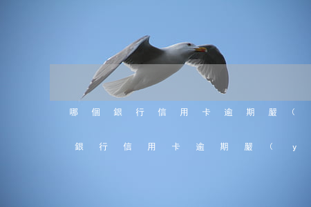 哪個銀行信用卡逾期嚴(yán)重-哪個銀行信用卡逾期嚴(yán)重不上征信