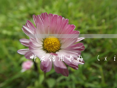 哪家信用卡好協(xié)商分期