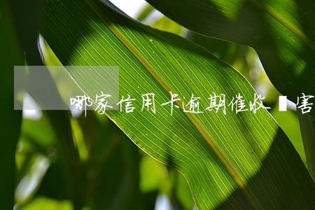 哪家信用卡逾期催收厲害(信用卡催收違法嗎)