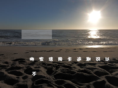 哪家信用卡逾期可以辦(有逾期可以辦信用卡不)