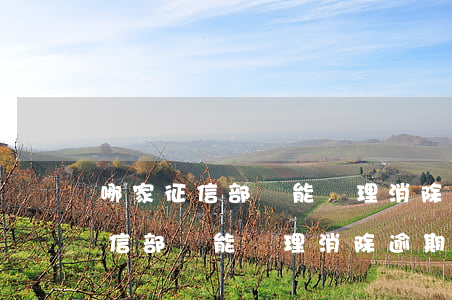 哪家征信部門能辦理消除逾期記錄-哪家征信部門能辦理消除逾期記錄業(yè)務(wù)