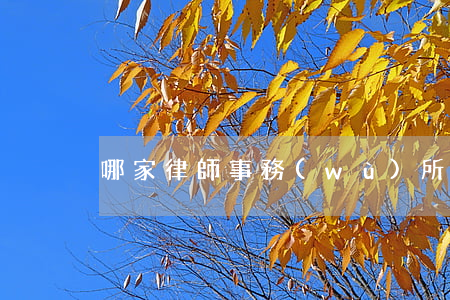 哪家律師事務(wù)所(律所)