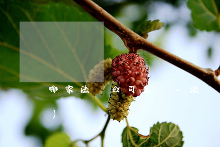 哪家法務公司靠譜-法務公司正規(guī)嗎