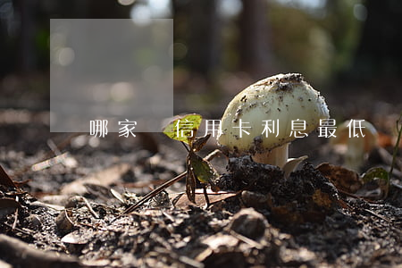 哪家辦信用卡利息最低