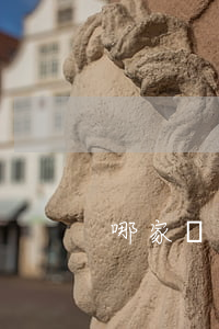 哪家銀行信用卡透支免息(信用卡有免息嗎)