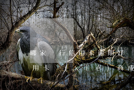 哪家銀行信用卡逾期好協(xié)商(跟信用卡協(xié)商成功后又逾期了)