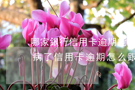 哪家銀行信用卡逾期能協(xié)商的(生病了信用卡逾期怎么跟銀行協(xié)商)