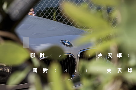 哪對(duì)夫妻準(zhǔn)備離婚(哪對(duì)夫妻準(zhǔn)備離婚)