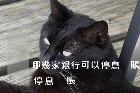 哪幾家銀行可以停息掛賬(商業(yè)銀行停息掛賬)