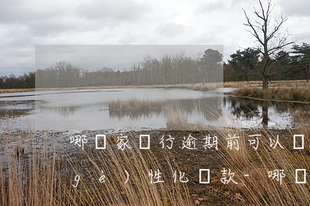 哪幾家銀行逾期前可以協(xié)商個(gè)性化還款-哪幾家銀行逾期前可以協(xié)商個(gè)性化還款的