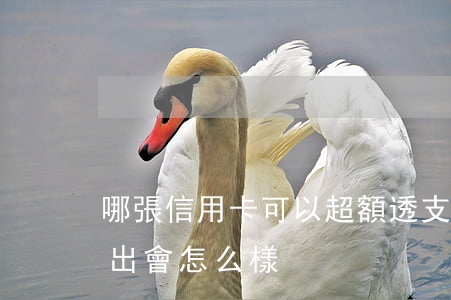 哪張信用卡可以超額透支(信用卡額度透支超出會怎么樣)