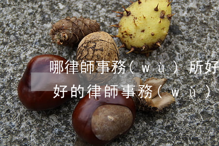 哪律師事務(wù)所好(國內(nèi)最好的律師事務(wù)所是哪一家)