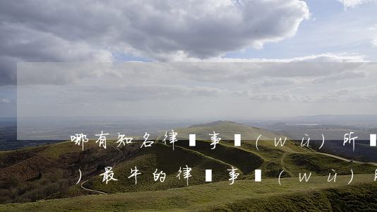 哪有知名律師事務(wù)所(國內(nèi)最牛的律師事務(wù)所)