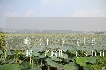哪發(fā)來(lái)的逾期信息是真起訴了(逾期說(shuō)起訴的信息)