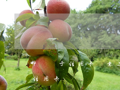 哪種屬于信用卡惡意透支(什么屬于惡意透支信用卡)
