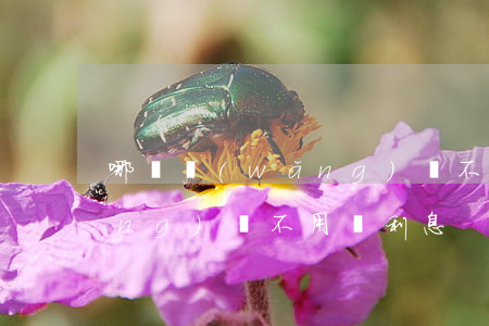 哪種網(wǎng)貸不用還(哪種網(wǎng)貸不用還利息)