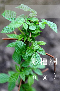 哪種網(wǎng)貸敢起訴(哪種網(wǎng)貸敢起訴欠款人)