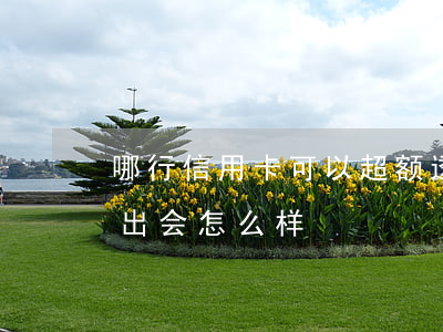 哪行信用卡可以超额透支(信用卡额度透支超出会怎么样)