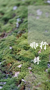 哪行信用卡怎么样-哪个银行的信用卡怎么样