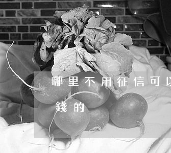 哪里不用征信可以借錢(哪里不用征信可以借錢的)