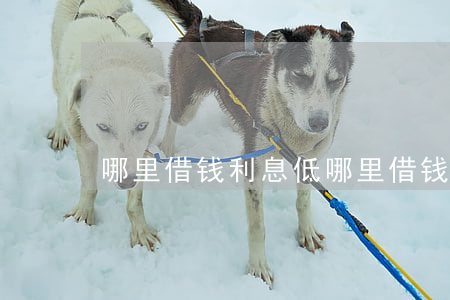 哪里借钱利息低(哪里借钱利息低)