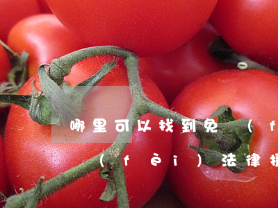 哪里可以找到免費(fèi)的法律援助(免費(fèi)法律援助在哪)