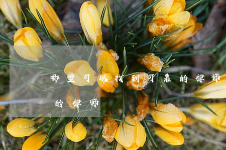 哪里可以找到可靠的律师(怎么找到一个靠谱的律师)
