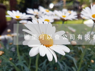 哪里可以查公司有沒有官司