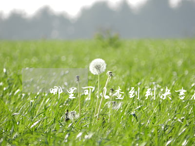 哪里可以查到判决书(在哪可以查判决书)