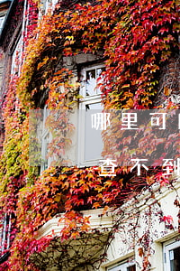 哪里可以查到逾期網(wǎng)貸(有逾期查不到網(wǎng)貸機構(gòu))