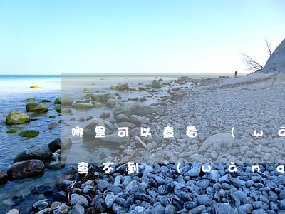 哪里可以查看網(wǎng)貸逾期(有逾期查不到網(wǎng)貸機構)