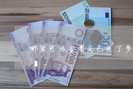 哪里可以查看自己欠了多少網(wǎng)貸-