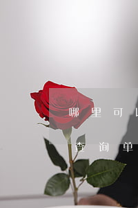 哪里可以查询单位是否首次逾期-哪里可以查询单位是否首次逾期记录