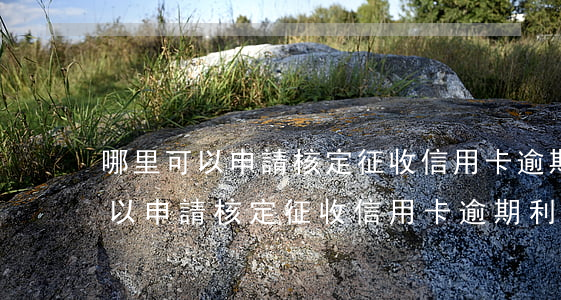 哪里可以申請核定征收信用卡逾期-哪里可以申請核定征收信用卡逾期利息