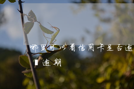 哪里可以看信用卡是否逾期(怎么看信用卡有沒逾期)